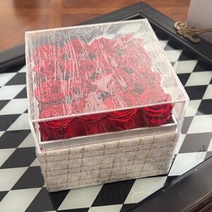 Eternal Forever Flowers - 16 Red Rose Preserved in acrylic Box.